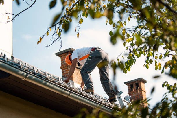 Best Steel Roofing  in Wheaton, MN