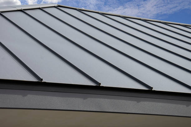 Best Asphalt Shingle Roofing  in Wheaton, MN